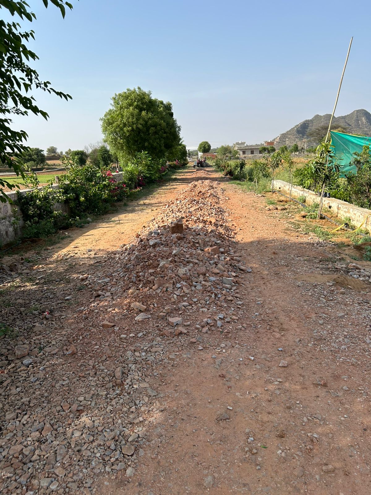 Phase 8 - Landscaping and Roads