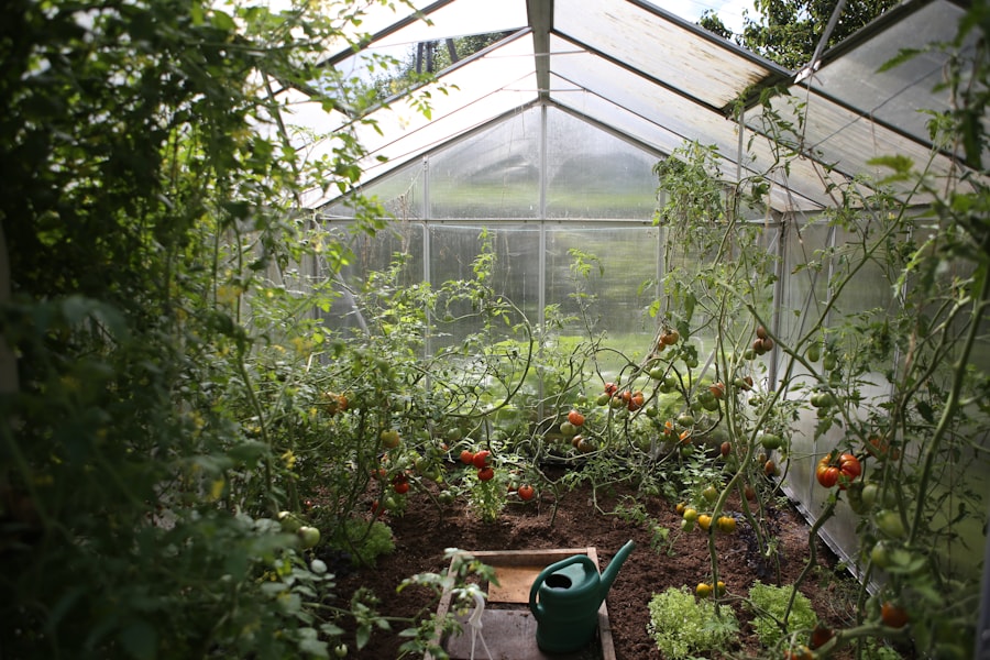 Fresh organic harvest in a farm